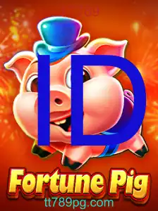 FortunePig - TT789
